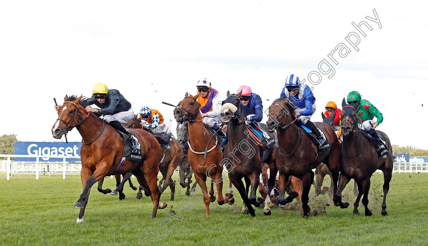 Swindler-0002 
 SWINDLER (Louis Steward) crosses the field and causes a faller (Magical Ride) to win The Fever-Tree Handicap but is allowed to keep the race in the stewards enquiry.
Ascot 7 Sep 2019 - Pic Steven Cargill / Racingfotos.com