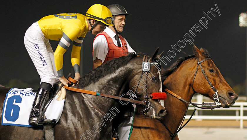 Blitzkrieg-0002 
 BLITZKRIEG (Pat Cosgrave)
Meydan 23 Jan 2020 - Pic Steven Cargill / Racingfotos.com