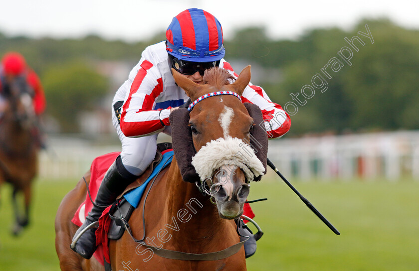 Maysong-0006 
 MAYSONG (Fern O'Brien) wins The Vintage Aquisitions Whisky Chaser Handicap
Sandown 1 Jul 2022 - Pic Steven Cargill / Racingfotos.com