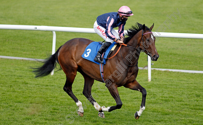 Spirit-Of-Bermuda-0001 
 SPIRIT OF BERMUDA (Tom Marquand) winner of The Follow Us On Twitter @leicesterraces Fillies Handicap
Leicester 1 Jun 2021 - Pic Steven Cargill / Racingfotos.com