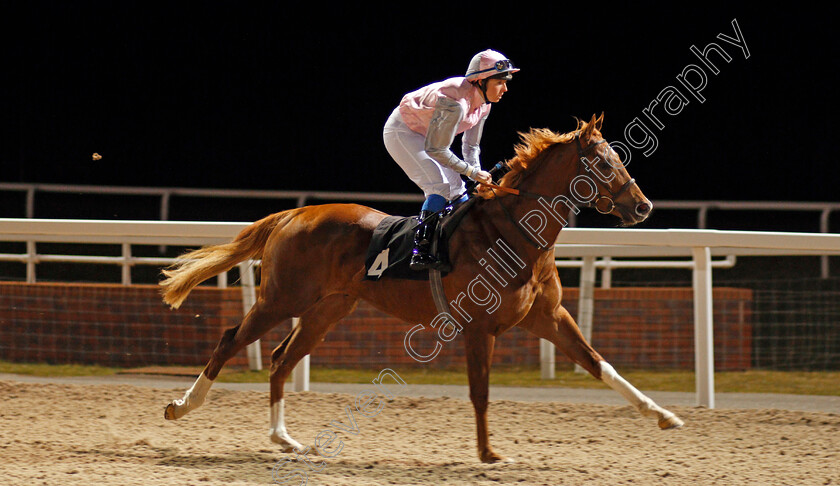 Bond-Street-Beau-0002 
 BOND STREET BEAU (Katherine Glenister) Chelmsford 15 Feb 2018 - Pic Steven Cargill / Racingfotos.com