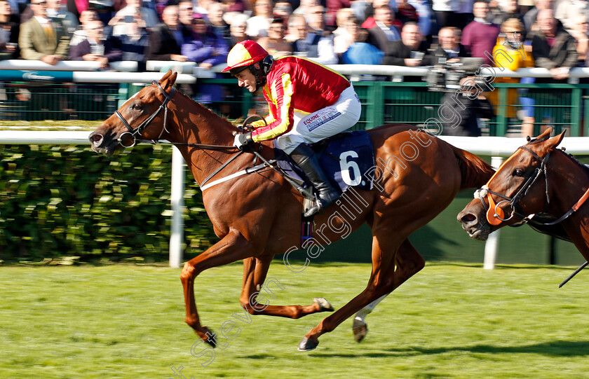 Off-Art-0003 
 OFF ART (Brian Harding) wins The Clipper Logistics Leger Legends Classified Stakes Doncaster 13 Sep 2017 - Pic Steven Cargill / Racingfotos.com