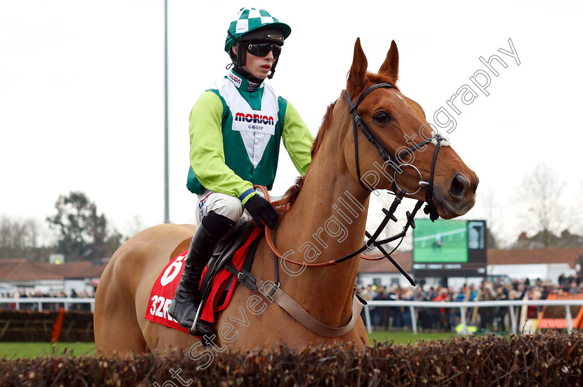 Topofthegame-0001 
 TOPOFTHEGAME (Harry Cobden) 
Kempton 26 Dec 2018 - Pic Steven Cargill / Racingfotos.com