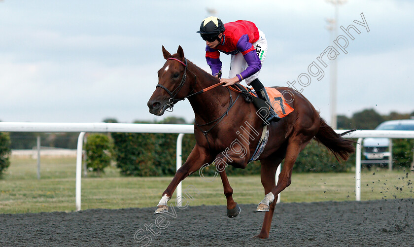 Land-Of-Oz-0003 
 LAND OF OZ (Luke Morris) wins The Matchbook Casino Handicap
Kempton 7 Aug 2019 - Pic Steven Cargill / Racingfotos.com