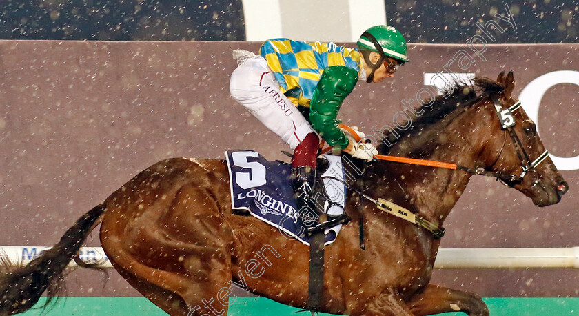 Lahresh-0005 
 LAHRESH (Antonio Fresu) wins The Festival City Stakes
Meydan 27 Jan 2023 - Pic Steven Cargill / Racingfotos.com