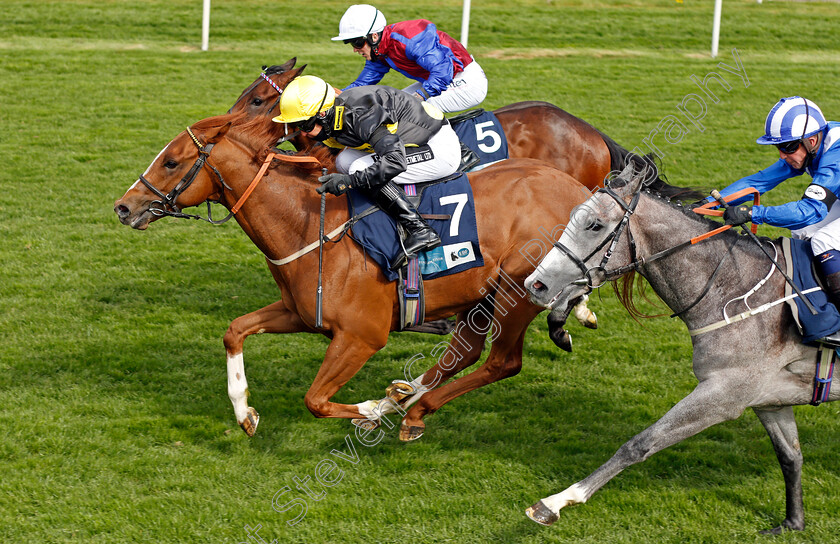 Project-Dante-0004 
 PROJECT DANTE (Graham Lee) beats KORKER (farside) and JADHLAAN (right) in The British Stallion Studs EBF Novice Stakes
York 12 May 2021 - Pic Steven Cargill / Racingfotos.com