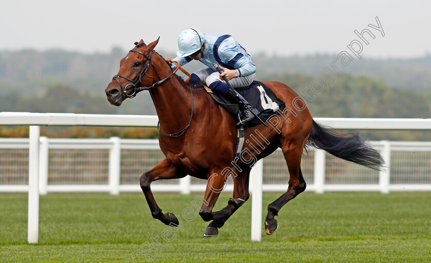 Recovery-Run-0001 
 RECOVERY RUN (David Probert) wins The Victoria Racing Club Handicap
Ascot 3 Sep 2021 - Pic Steven Cargill / Racingfotos.com