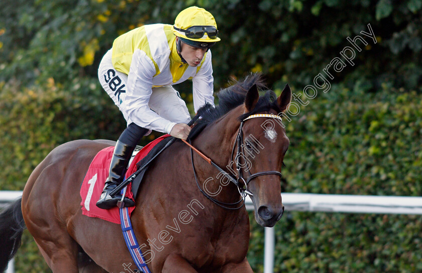 Noisy-Night-0001 
 NOISY NIGHT (Richard Kingscote) winner of The Unibet British Stallion Studs EBF Novice Stakes
Kempton 4 Aug 2021 - Pic Steven Cargill / Racingfotos.com