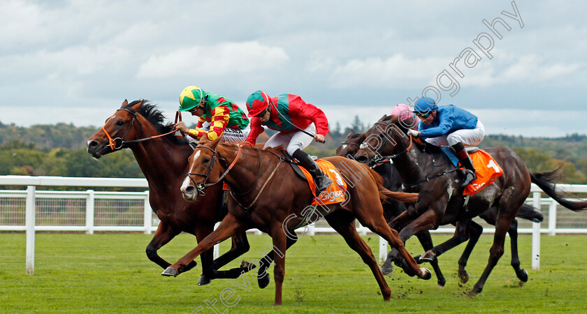 Danehill-Kodiac-0001 
 DANEHILL KODIAC (farside, Sean Levey) beats WALDGEIST (nearside) in The Gigaset Cumberland Lodge Stakes Ascot 7 Oct 2017 - Pic Steven Cargill / Racingfotos.com