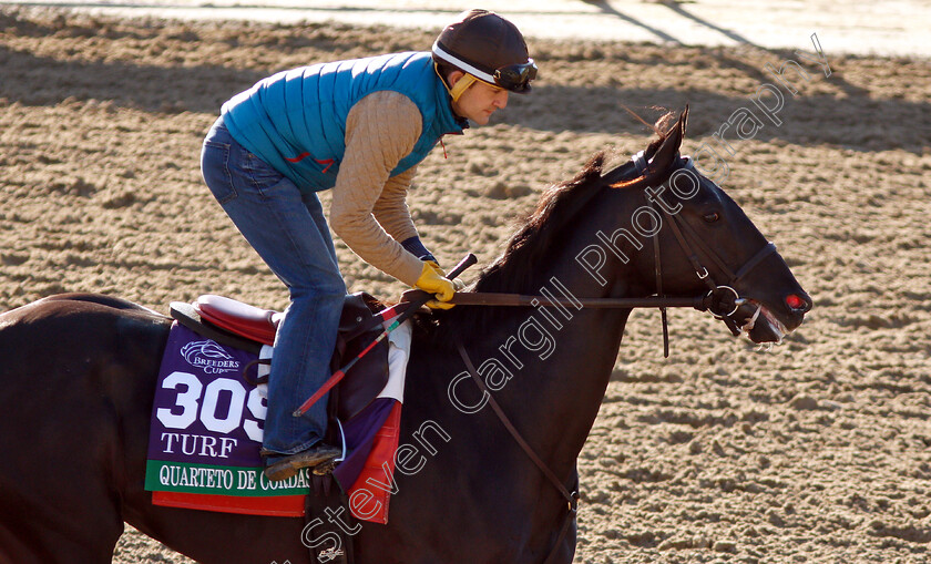 Quarteto-De-Cordas-0001 
 QUARTETO DE CORDAS exercising ahead of the Breeders' Cup Turf
Churchill Downs USA 29 Oct 2018 - Pic Steven Cargill / Racingfotos.com