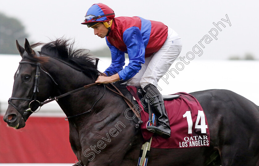 Los-Angeles-0001 
 LOS ANGELES (Ryan Moore)
Longchamp 6 Oct 2024 - Pic Steven Cargill / Racingfotos.com