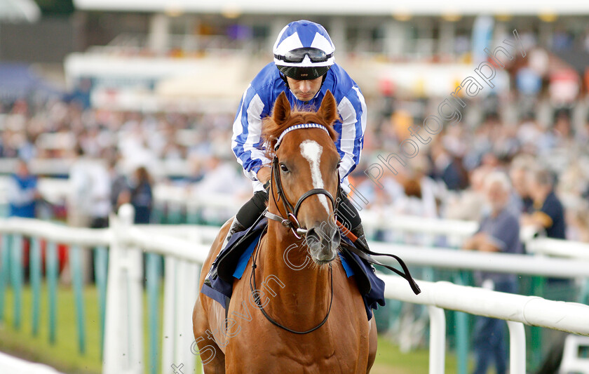 Leuven-Power-0001 
 LEUVEN POWER (Silvestre De Sousa)
Doncaster 10 Sep 2021 - Pic Steven Cargill / Racingfotos.com