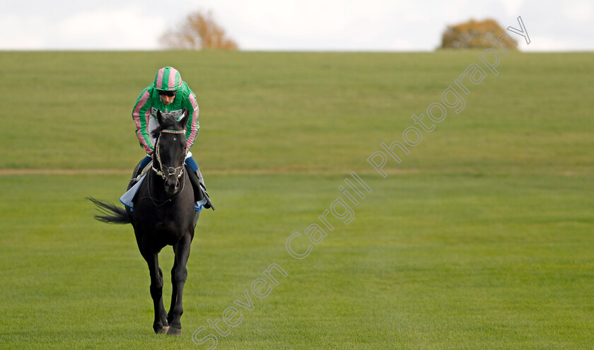 Pogo-0010 
 POGO (William Buick) winner of The Thoroughbred Industry Employee Awards Challenge Stakes
Newmarket 7 Oct 2022 - Pic Steven Cargill / Racingfotos.com