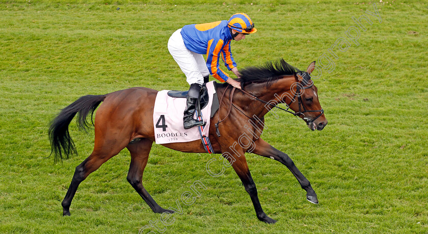 Grosvenor-Square-0002 
 GROSVENOR SQUARE (Ryan Moore)
Chester 8 May 2024 - Pic Steven Cargill / Racingfotos.com