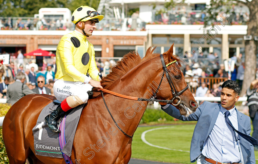 Juan-Elcano-0001 
 JUAN ELCANO (Andrea Atzeni)
York 18 Aug 2021 - Pic Steven Cargill / Racingfotos.com