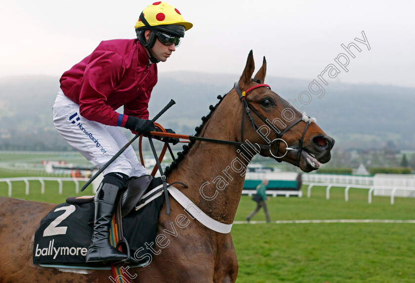 Grand-Mogul-0001 
 GRAND MOGUL (Jeremiah McGrath)
Cheltenham 1 Jan 2020 - Pic Steven Cargill / Racingfotos.com