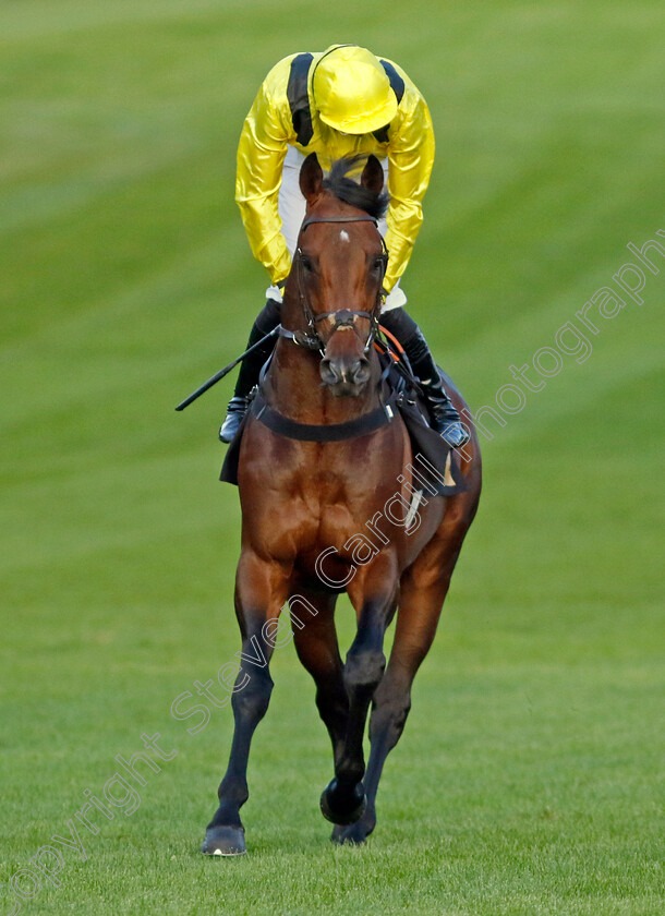 Terwada-0008 
 TERWADA (James Doyle) winner of The Every Race Live On Racing TV Handicap
Newmarket 28 Jul 2023 - Pic Steven Cargill / Racingfotos.com