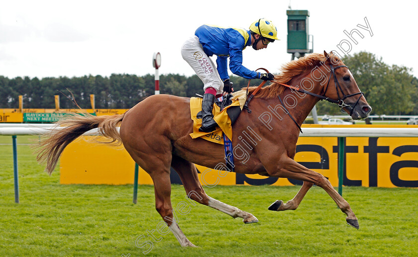 Dream-Of-Dreams-0010 
 DREAM OF DREAMS (Oisin Murphy) wins The Betfair Sprint Cup
Haydock 5 Sep 2020 - Pic Steven Cargill / Racingfotos.com