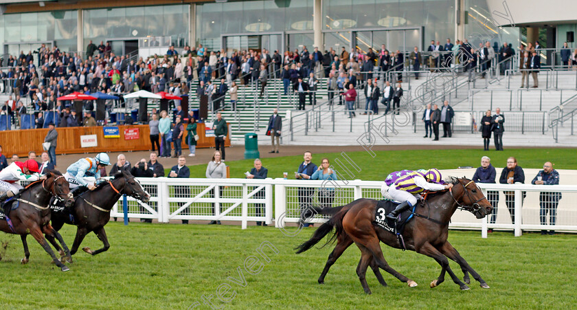 Tinto-0002 
 TINTO (Marco Ghiani) wins The Original Harrogate Water Handicap
Ascot 4 Oct 2019 - Pic Steven Cargill / Racingfotos.com