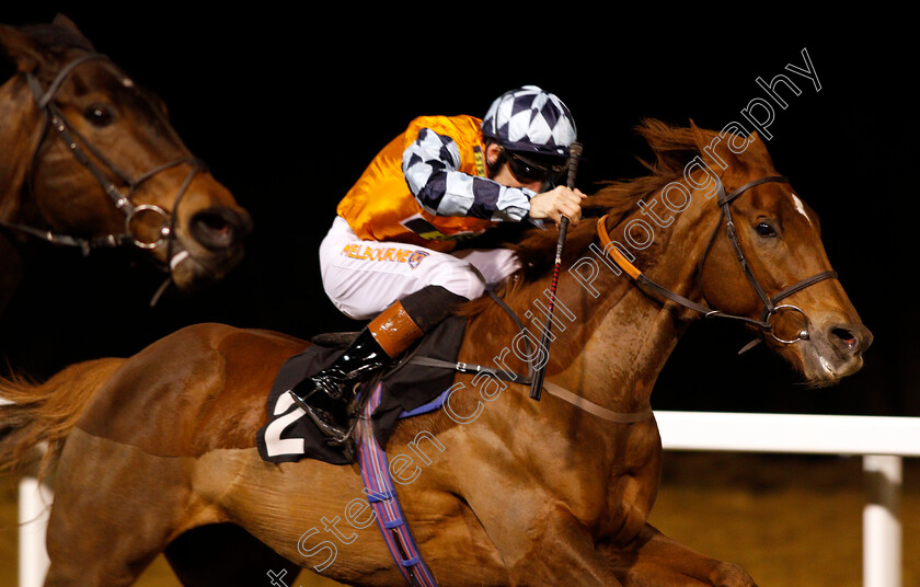 Ceyhan-0006 
 CEYHAN (Dougie Costello) wins The Bet toteWIN At Betfred.com Handicap Div1 Chelmsford 7 Dec 2017 - Pic Steven Cargill / Racingfotos.com