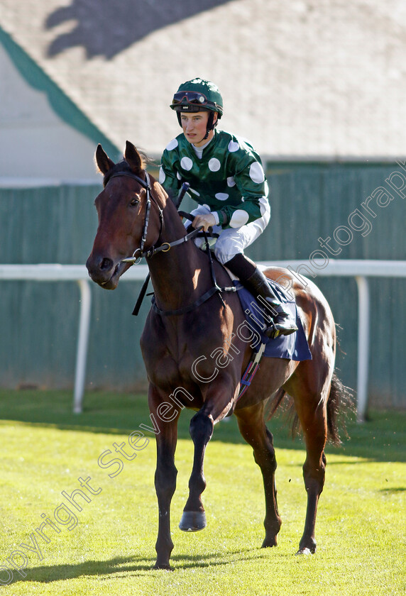 Kristal-Klear-0001 
 KRISTAL KLEAR (Ross Coakley)
Yarmouth 18 Oct 2022 - Pic Steven Cargill / Racingfotos.com