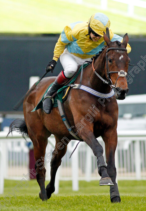 Popaway-0006 
 POPAWAY (Immy Robinson) wins The Visit cheltenham.com Mares Open Hunters Chase Cheltenham 4 May 2018 - Pic Steven Cargill / Racingfotos.com