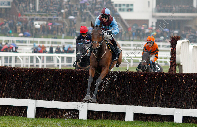 Ballyoptic-0002 
 BALLYOPTIC (Richard Johnson) Cheltenham 18 Nov 2017 - Pic Steven Cargill / Racingfotos.com