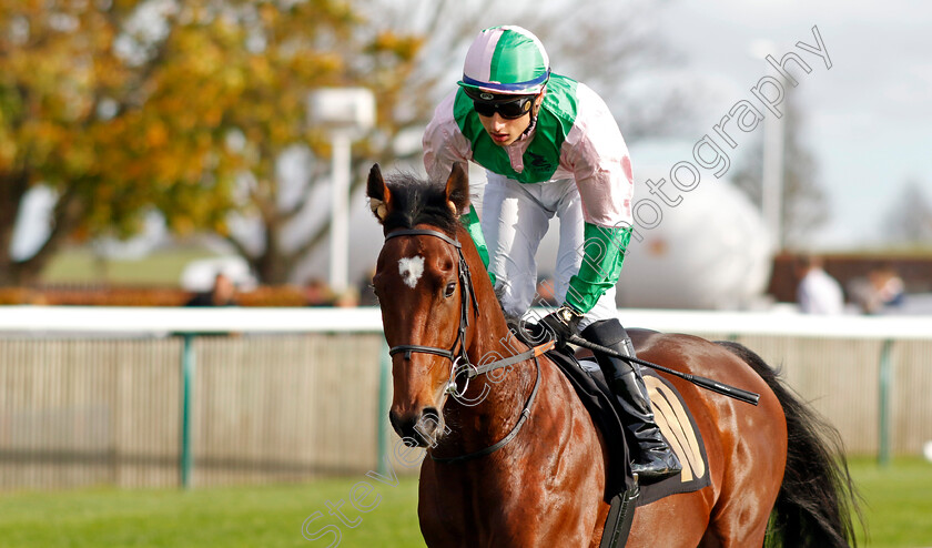 Physique-0009 
 PHYSIQUE (Mohammed Tabti) winner of The British Stallion Studs EBF Novice Stakes Div1
Newmarket 28 Oct 2022 - Pic Steven Cargill / Racingfotos.com