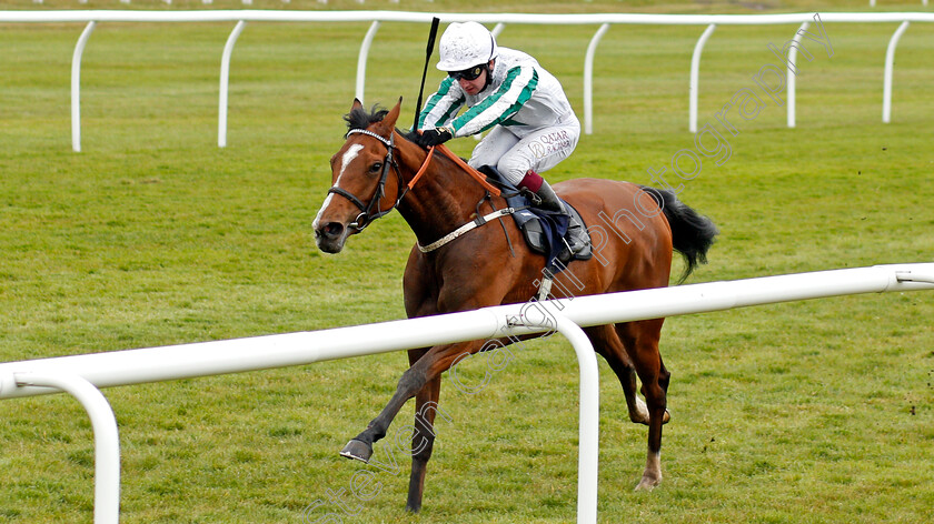 Inchicore-0002 
 INCHICORE (Oisin Murphy) wins The £20 Sports Welcome Offer At Novibet Handicap
Lingfield 8 May 2021 - Pic Steven Cargill / Racingfotos.com