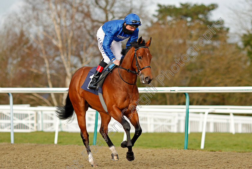 Tamborrada-0002 
 TAMBORRADA (Adam Kirby) winner of The Ladbrokes Watch Racing Online For Free Novice Stakes
Lingfield 29 Jan 2021 - Pic Steven Cargill / Racingfotos.com