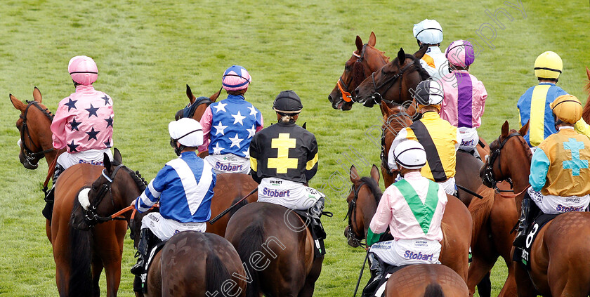 Goodwood-0003 
 Runners line up for The Unibet Goodwood Handicap won by TIMOSHENKO (top, Luke Morris)
Goodwood 31 Jul 2019 - Pic Steven Cargill / Racingfotos.com