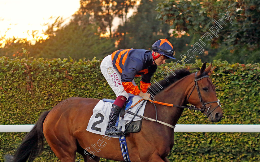 Clear-Storm-0002 
 CLEAR STORM (Cieren Fallon)
Kempton 28 Aug 2024 - Pic Steven Cargill / Racingfotos.com