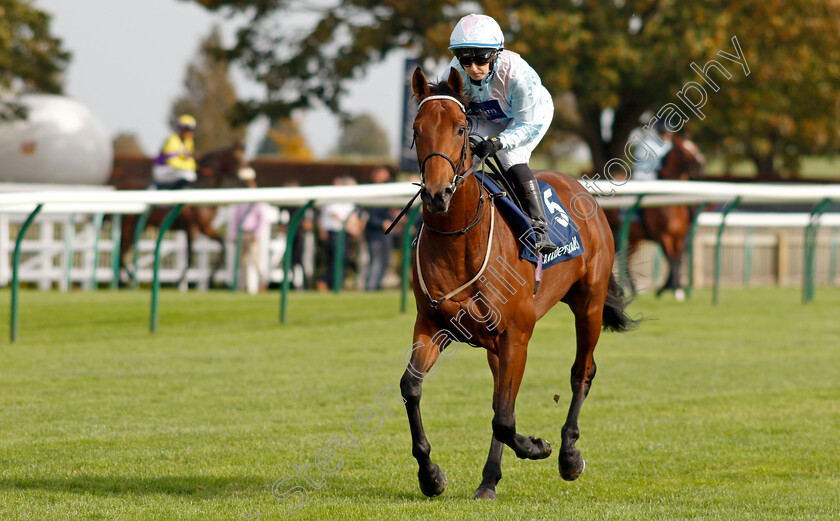 Darroch-0001 
 DARROCH (Georgia Dobie)
Newmarket 7 Oct 2023 - Pic Steven Cargill / Racingfotos.com