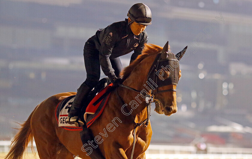 Geoglyph-0001 
 GEOGLYPH training for the Dubai World Cup
Meydan, Dubai, 21 Mar 2023 - Pic Steven Cargill / Racingfotos.com