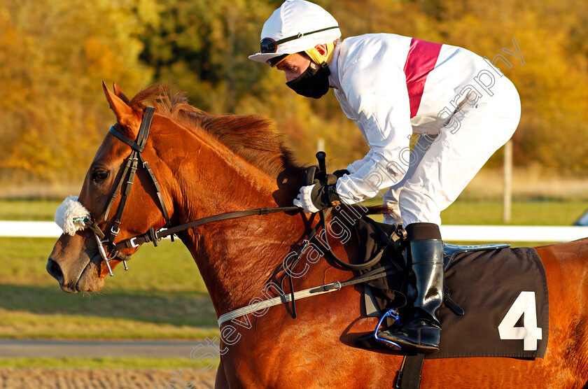 Western-Beat-0001 
 WESTERN BEAT (John Egan) winner of The tote Placepot Your First Bet Nursery
Chelmsford 22 Oct 2020 - Pic Steven Cargill / Racingfotos.com