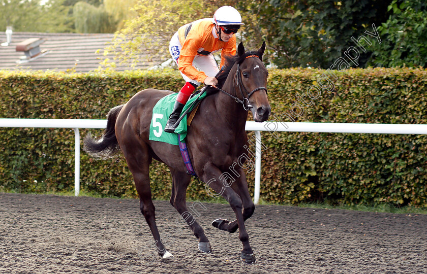 Great-Midge-0001 
 GREAT MIDGE (Fran Berry)
Kempton 18 Sep 2018 - Pic Steven Cargill / Racingfotos.com