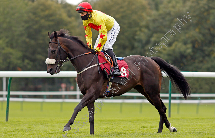 Danzan-0002 
 DANZAN (Duran Fentiman)
Haydock 4 Sep 2020 - Pic Steven Cargill / Racingfotos.com