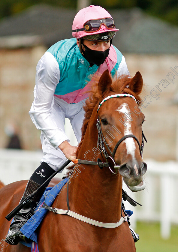 Boltaway-0002 
 BOLTAWAY (Jason Watson)
Salisbury 1 Oct 2020 - Pic Steven Cargill / Racingfotos.com