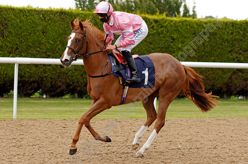 Moonshiner-0001 
 MOONSHINER (Jack Mitchell)
Wolverhampton 31 Jul 2020 - Pic Steven Cargill / Racingfotos.com