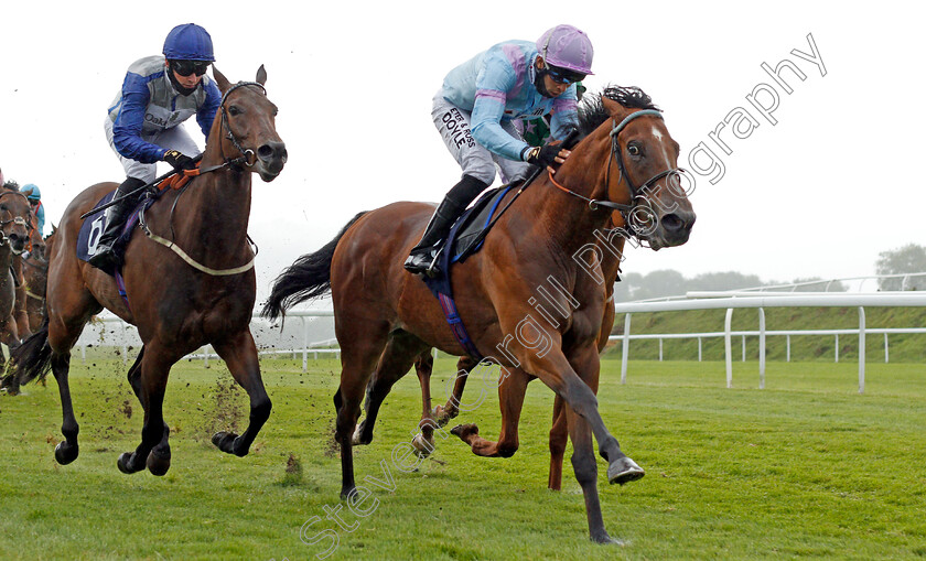 Dave-Dexter-0003 
 DAVE DEXTER (Sean Levey) beats CHITRA (left) in The Ownership With diamondracing.co.uk Handicap
Chepstow 9 Jul 2020 - Pic Steven Cargill / Racingfotos.com