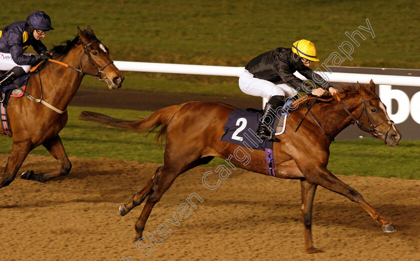 Amniarix-0005 
 AMNIARIX (Richard Kingscote) wins The Get Your Ladbrokes Daily Odds Boost Fillies Stakes
Wolverhampton 4 Jan 2021 - Pic Steven Cargill / Racingfotos.com