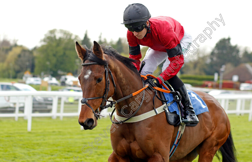 Dotties-Star-0001 
 DOTTIES STAR (Paddy Bradley)
Epsom 25 Apr 2023 - Pic Steven Cargill / Racingfotos.com