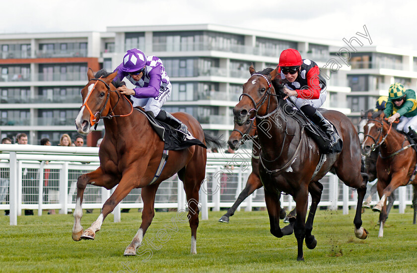 Orange-Suit-0001 
 ORANGE SUIT (Sean Levey) beats JACK CROW (right) in The British Stallion Studs EBF Maiden Stakes Div1 Newbury 22 Sep 2017 - Pic Steven Cargill / Racingfotos.com