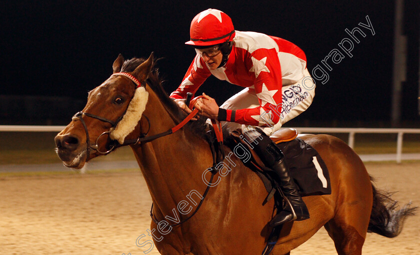 Complicit-0004 
 COMPLICIT (Alex Ferguson) wins The Bet toteplacepot At betfred.com Amateur Riders Handicap Chelmsford 21 Dec 2017 - Pic Steven Cargill / Racingfotos.com