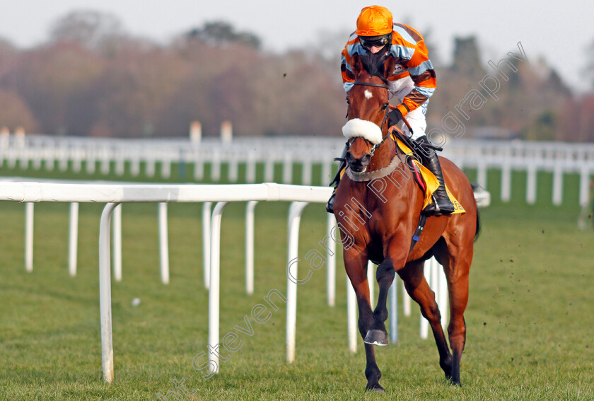 Master-Tommytucker-0002 
 MASTER TOMMYTUCKER (Daryl Jacob)
Ascot 20 Feb 2021 - Pic Steven Cargill / Racingfotos.com