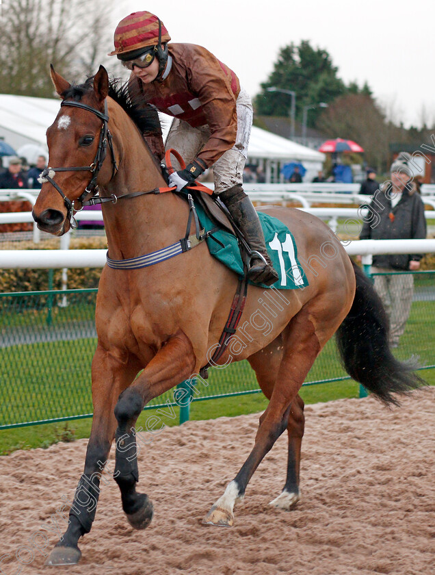 Saggazza-0001 
 SAGGAZZA (Page Fuller)
Warwick 12 Dec 2019 - Pic Steven Cargill / Racingfotos.com