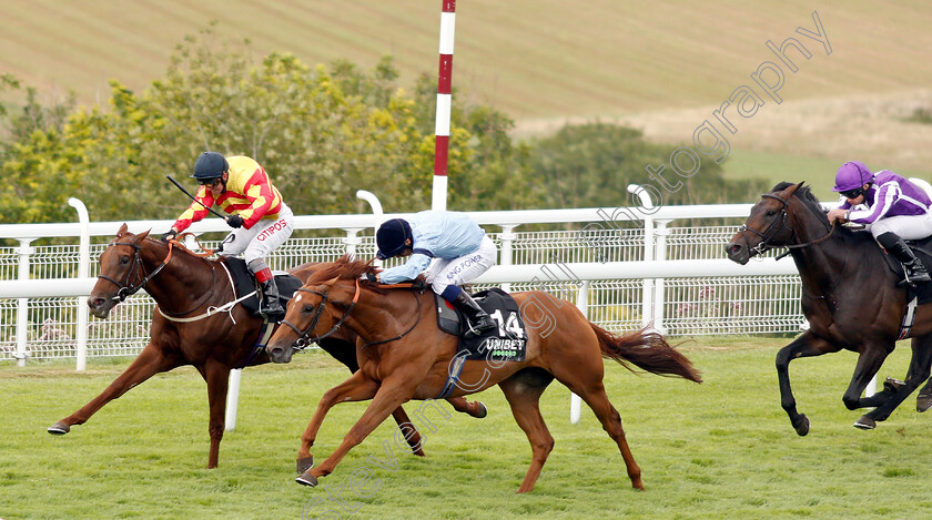 Sir-Ron-Priestley-0002 
 SIR RON PRIESTLEY (farside, Franny Norton) beats DURSTON (nearside) in The Unibet Handicap
Goodwood 31 Jul 2019 - Pic Steven Cargill / Racingfotos.com