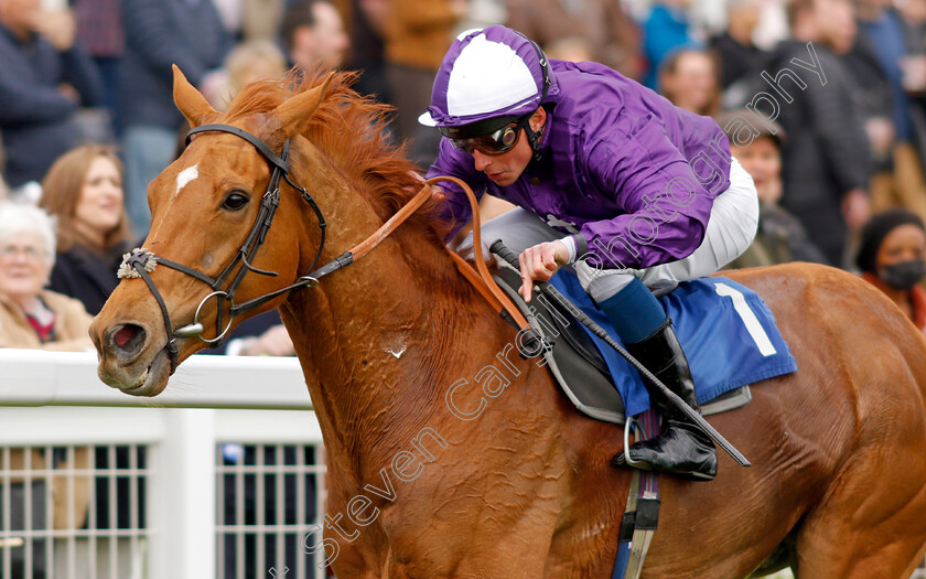 Sir-Rumi-0002 
 SIR RUMI (William Buick) wins The Betfred Nifty Fifty Great Metropolitan Handicap
Epsom 25 Apr 2023 - Pic Steven Cargill / Racingfotos.com