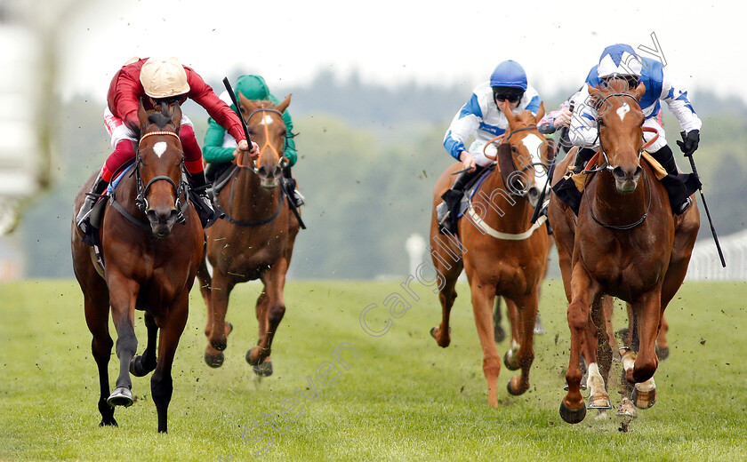 Muchly-0003 
 MUCHLY (left, Frankie Dettori) beats QUEEN POWER (right) in The Naas Racecourse Royal Ascot Trials Day British EBF Fillies Stakes
Ascot 1 May 2019 - Pic Steven Cargill / Racingfotos.com