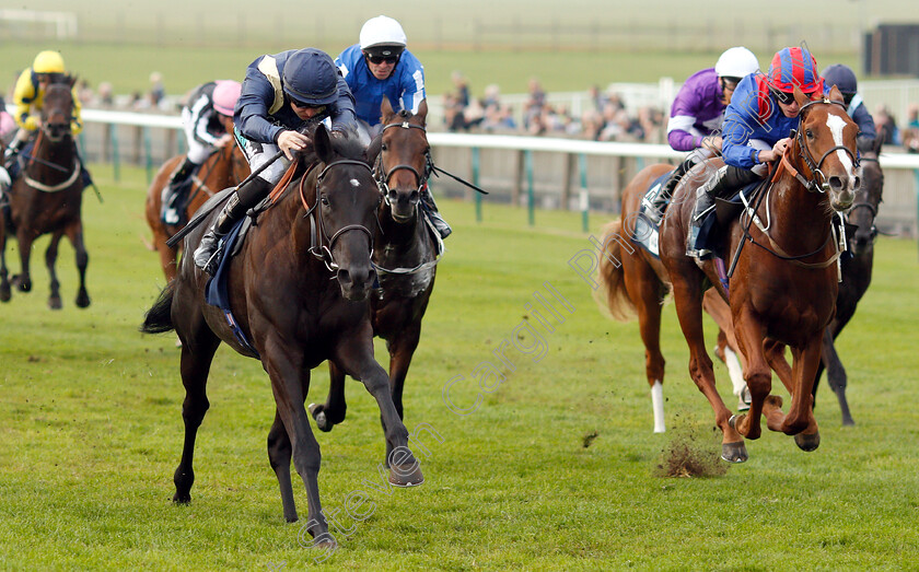 Skymax-0004 
 SKYMAX (Harry Bentley) beats NAYEF ROAD (right) in The British Stallion Studs EBF Nursery
Newmarket 24 Oct 2018 - Pic Steven Cargill / Racingfotos.com